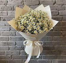 Букет цветов из:  Ромашки #REPLACE_PRED# Темясово